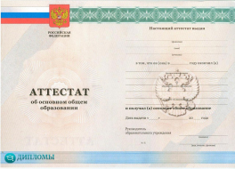 Аттестат 9 классов 2010-2013 года